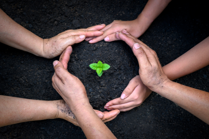 Four hands forming a circle around a small green leaf on a dark background