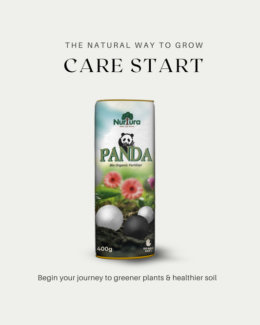 Panda Care Start