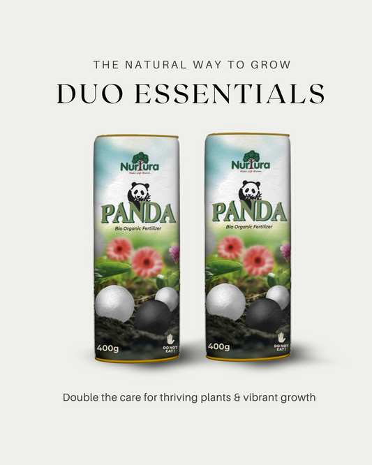 Panda Duo Essentials